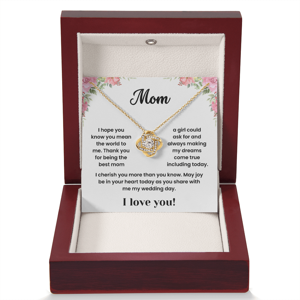 To My Mom - "You Mean the World To Me" Sentimental Necklace
