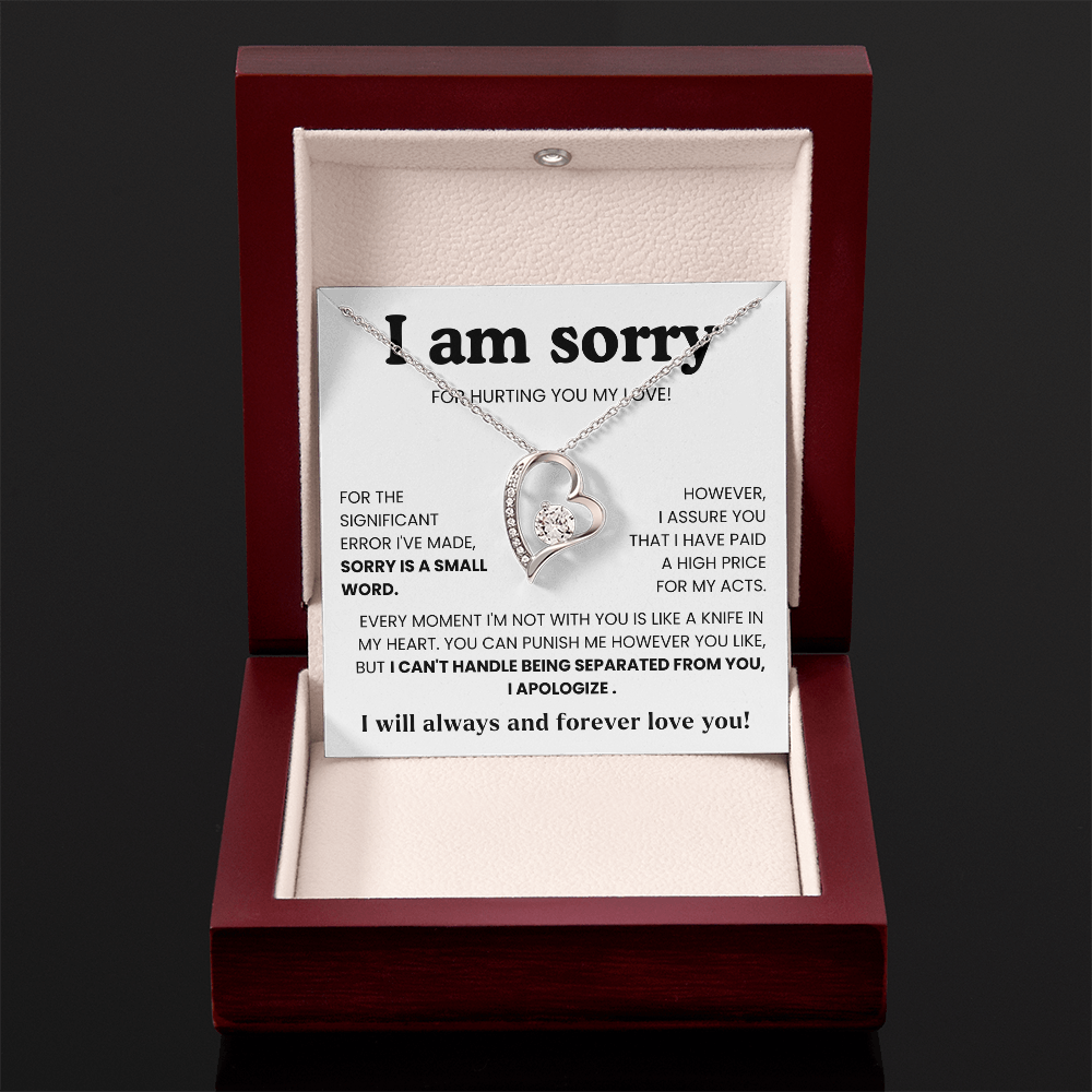 To My Love – “I Hurt You & I'm Sorry”  Forever Love Necklace