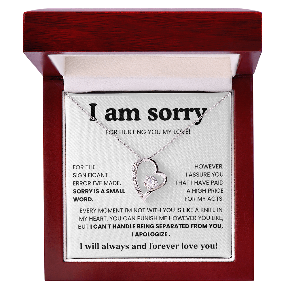To My Love – “I Hurt You & I'm Sorry”  Forever Love Necklace