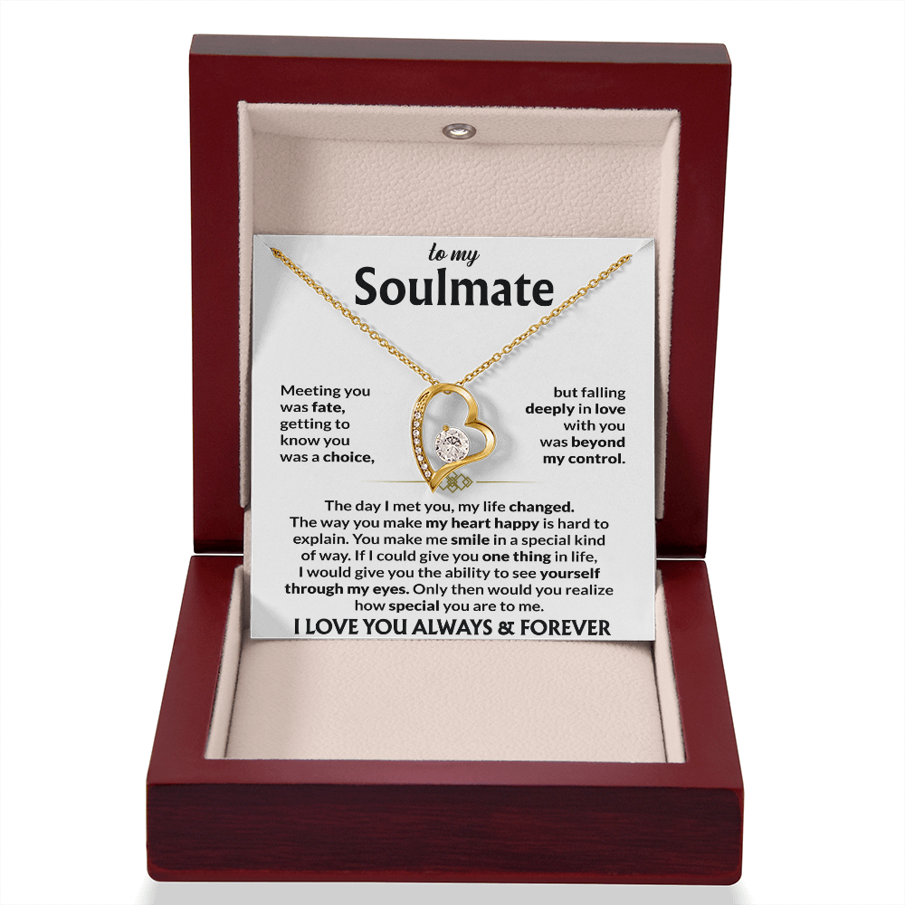 To My Soulmate - "The Day I Met You" Forever Love Necklace