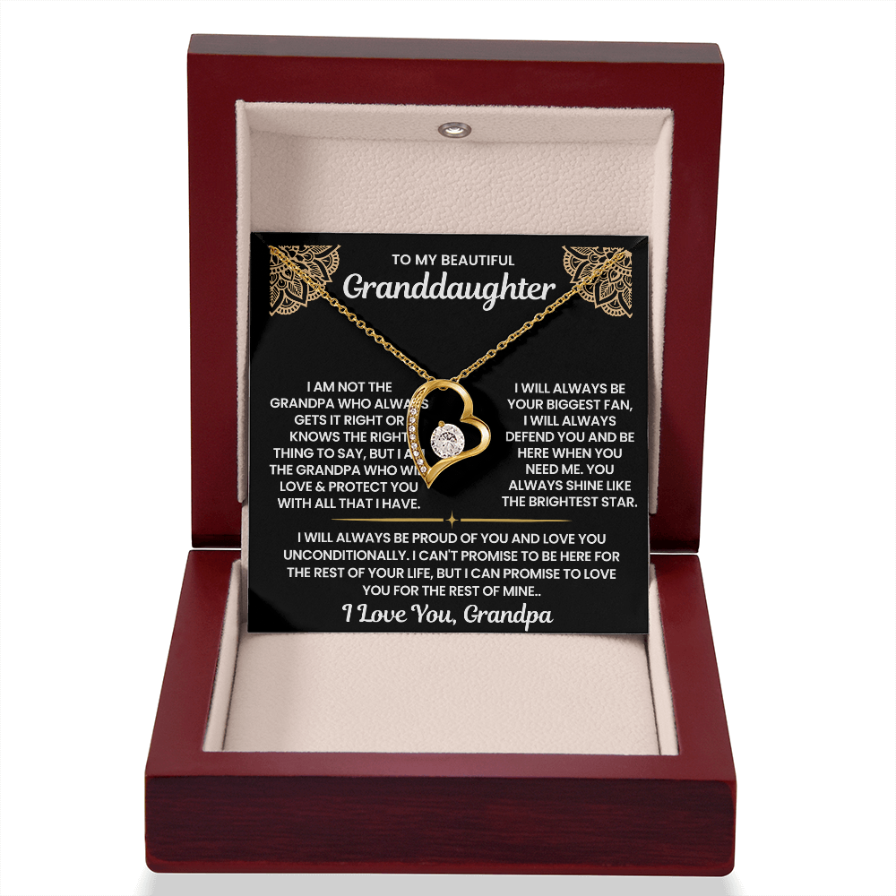 To My Granddaughter-"I Will Always Defend You" Forever Love Necklace