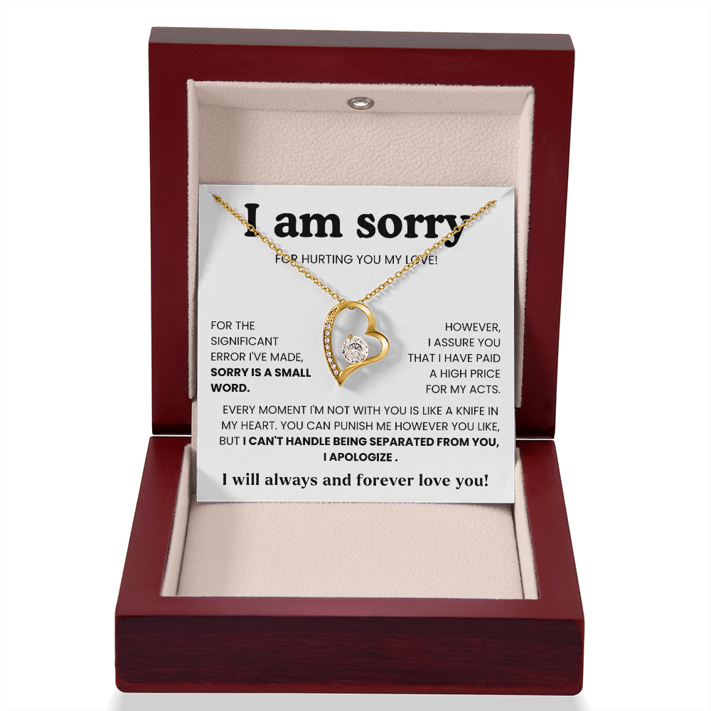 To My Love – “I Hurt You & I'm Sorry”  Forever Love Necklace