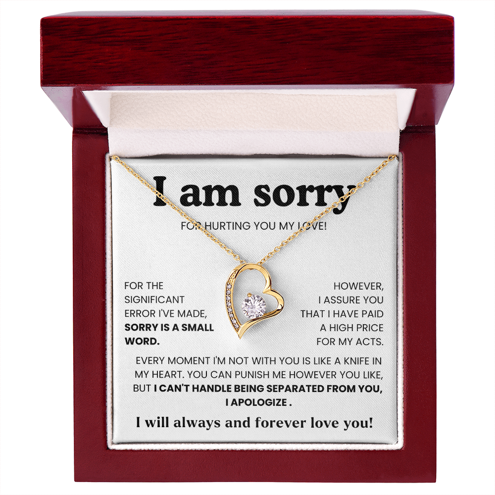 To My Love – “I Hurt You & I'm Sorry”  Forever Love Necklace