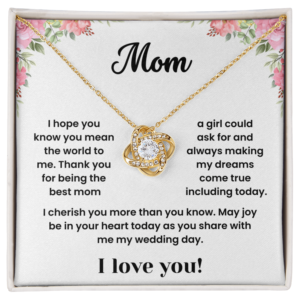 To My Mom - "You Mean the World To Me" Sentimental Necklace