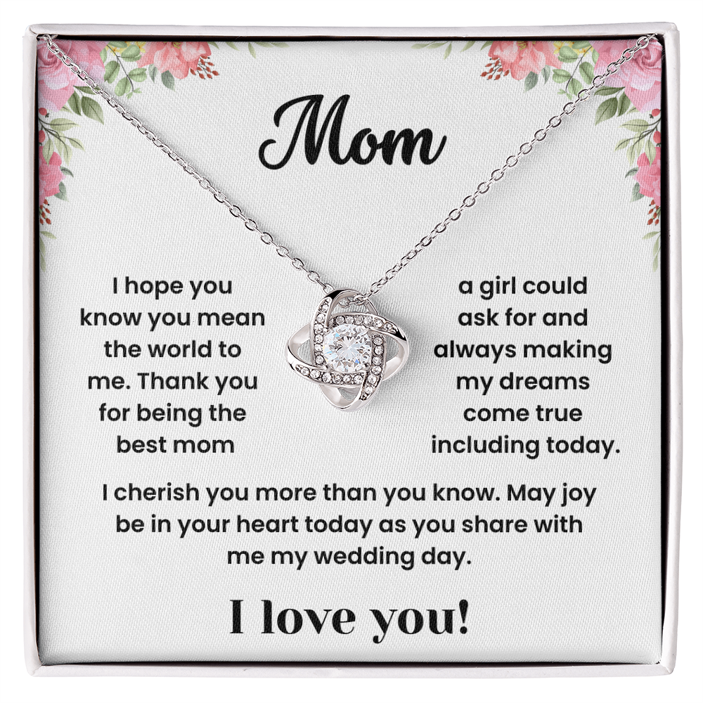To My Mom - "You Mean the World To Me" Sentimental Necklace