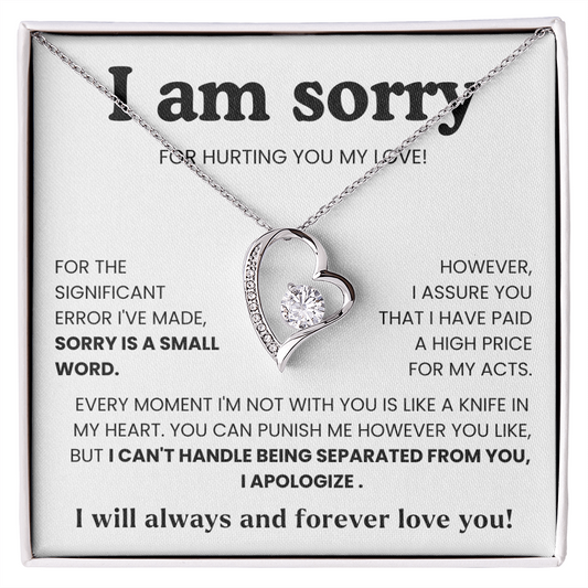 To My Love – “I Hurt You & I'm Sorry”  Forever Love Necklace