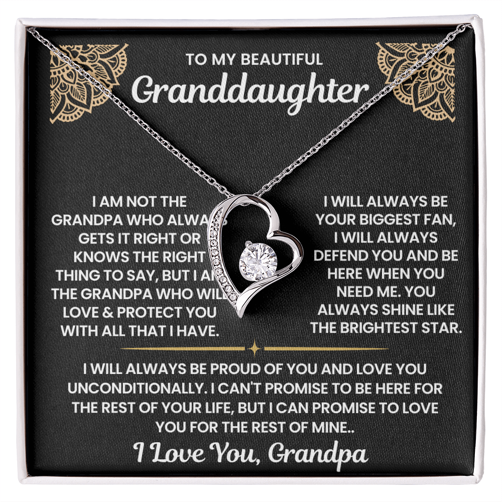 To My Granddaughter-"I Will Always Defend You" Forever Love Necklace
