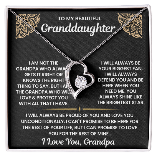 To My Granddaughter-"I Will Always Defend You" Forever Love Necklace