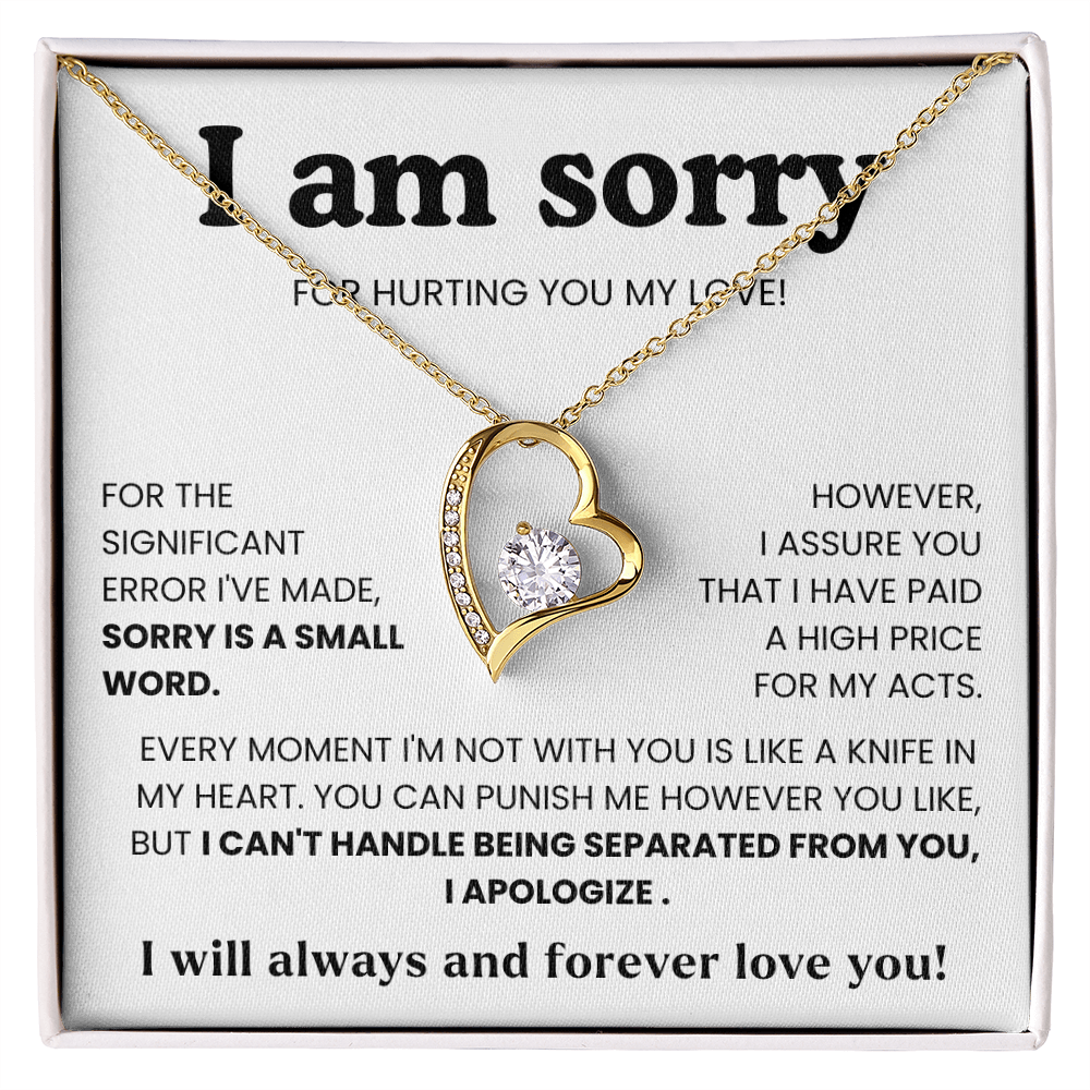 To My Love – “I Hurt You & I'm Sorry”  Forever Love Necklace