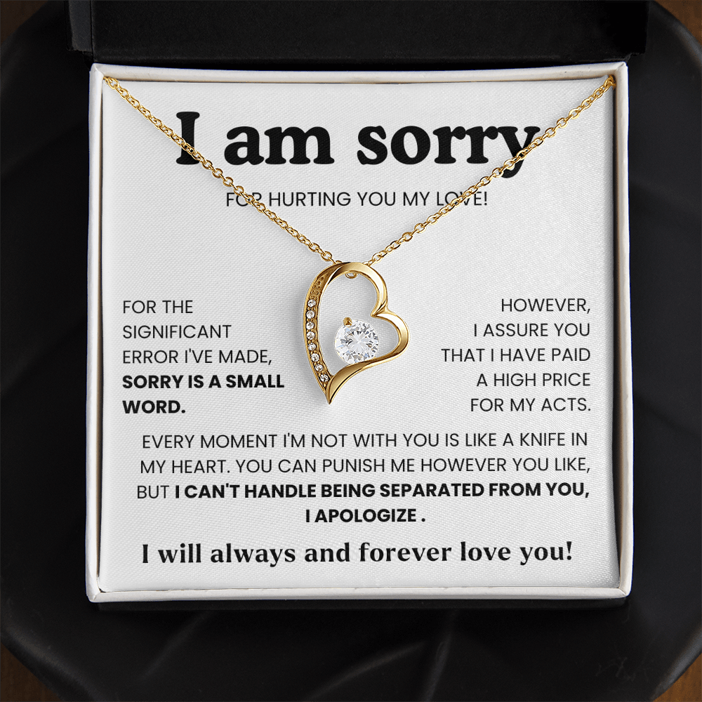 To My Love – “I Hurt You & I'm Sorry”  Forever Love Necklace